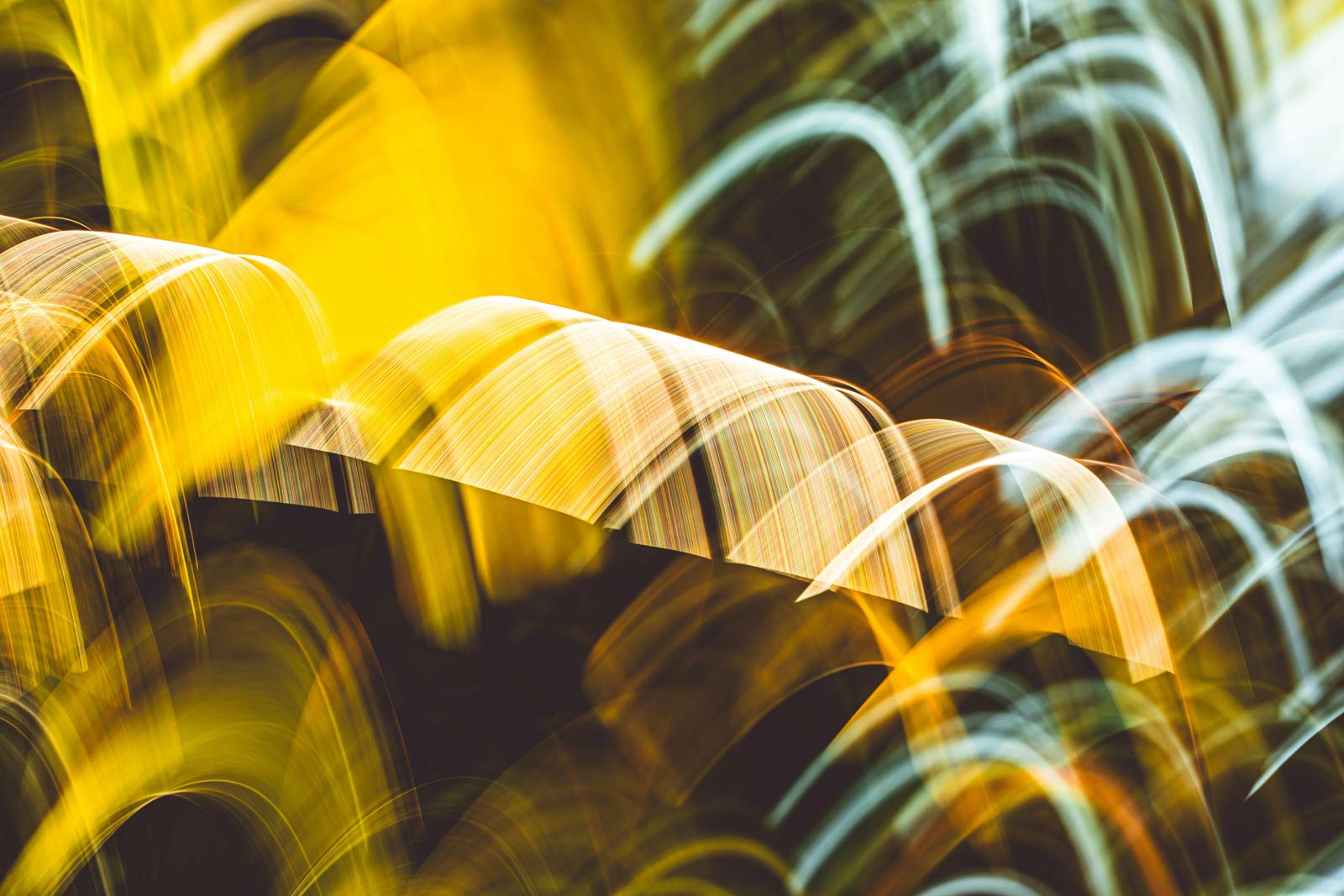 شرایط و قوانین کلی استفاده از وبسایت پاکشوما